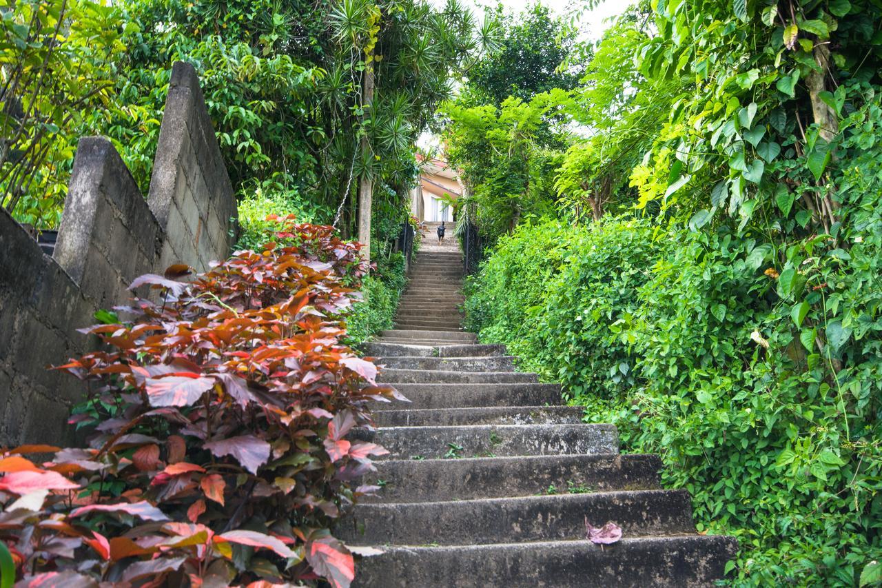 Udawatta Kele Villa Kandy Dış mekan fotoğraf