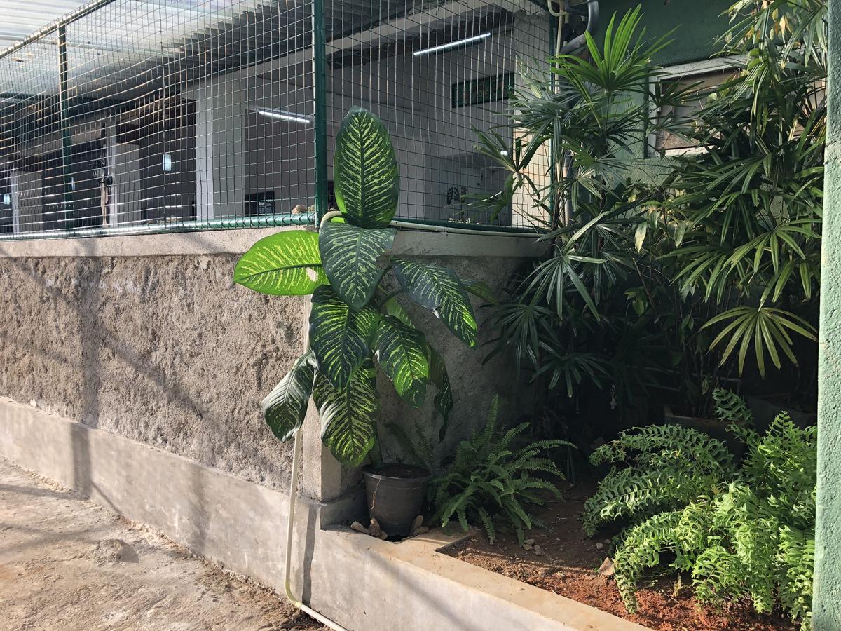 Udawatta Kele Villa Kandy Dış mekan fotoğraf