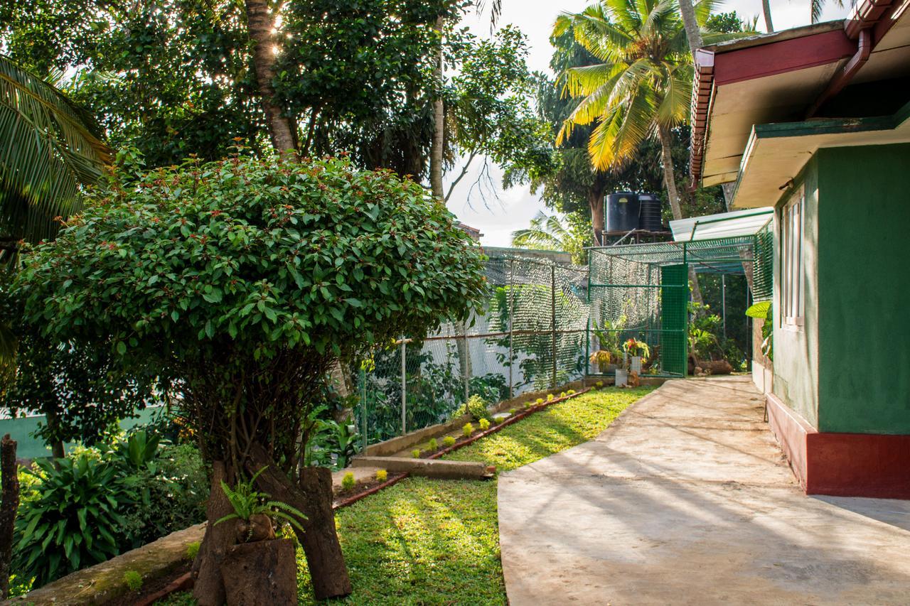 Udawatta Kele Villa Kandy Dış mekan fotoğraf