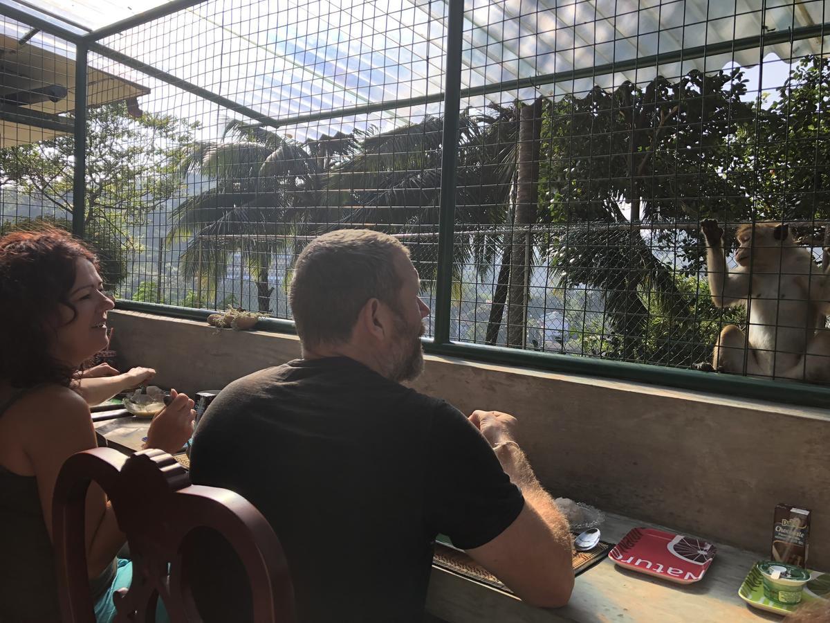 Udawatta Kele Villa Kandy Dış mekan fotoğraf