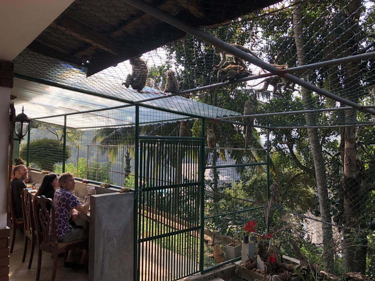Udawatta Kele Villa Kandy Dış mekan fotoğraf